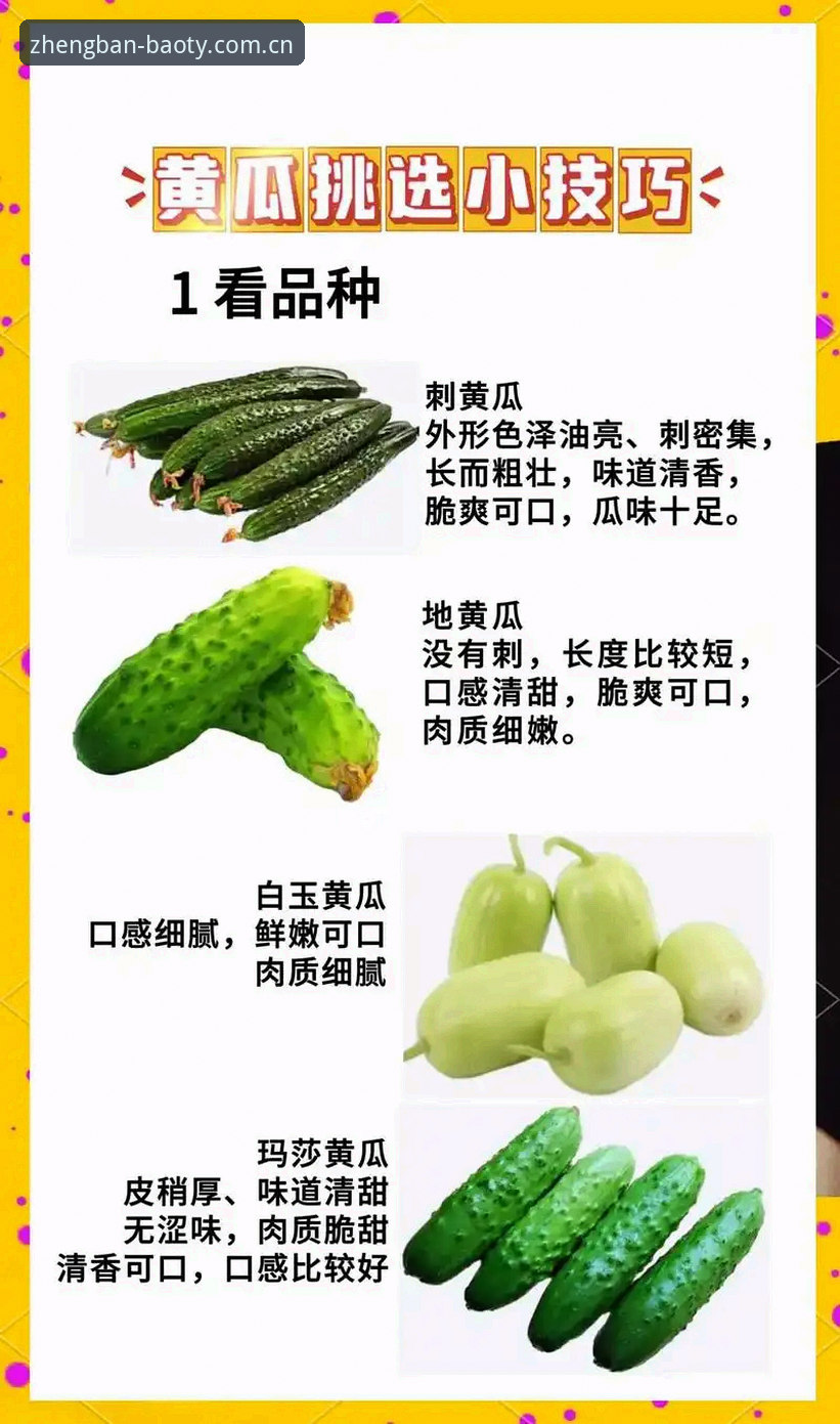 博奥体育安卓版使用技巧 博奥体育安卓版使用技巧完整指南:从下载到精通的操作手册